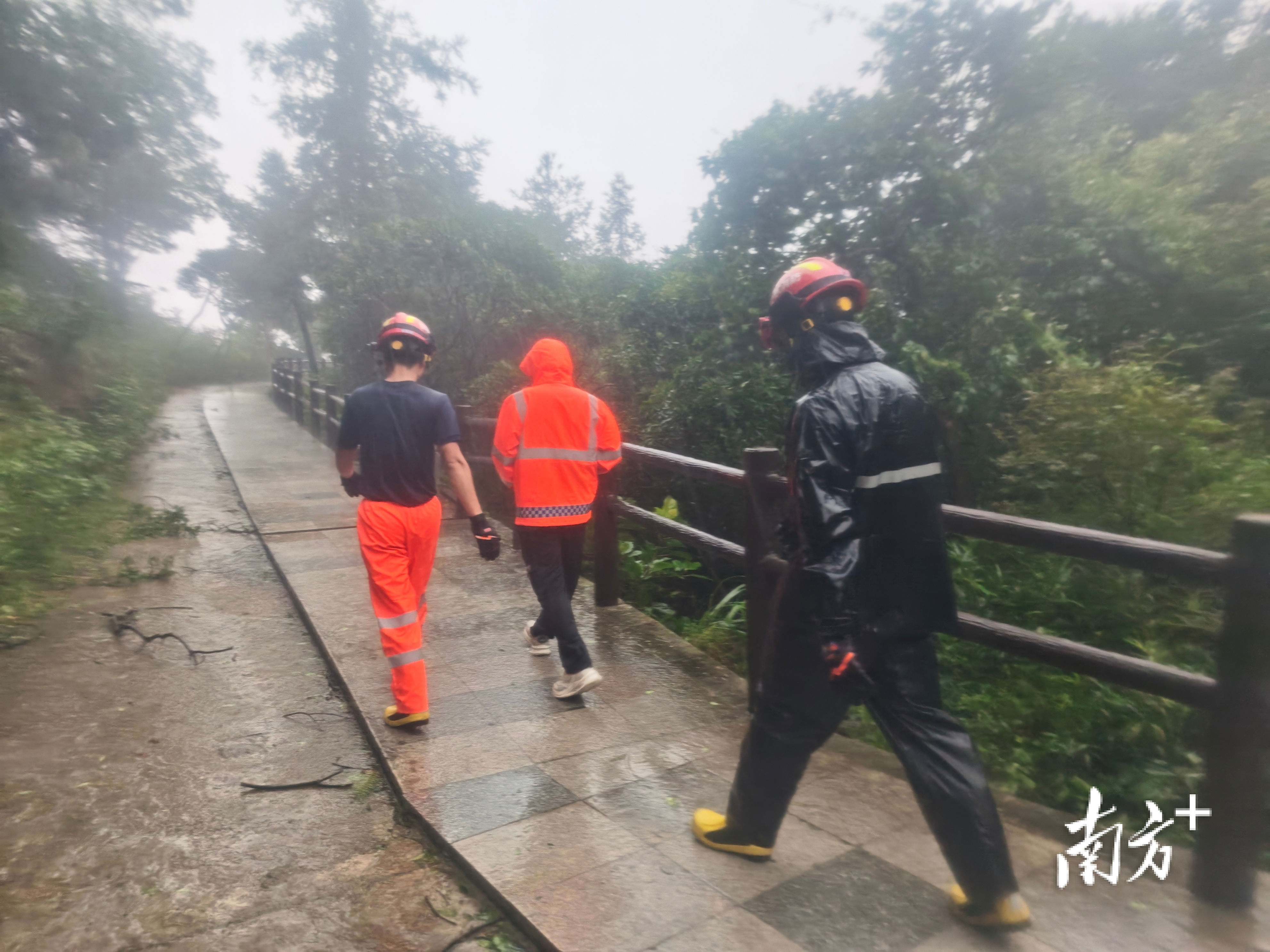 南方报业传, 时返程至观, https