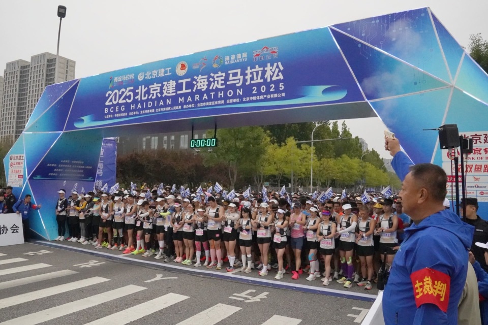 公园, 科学安全地, 赛场外